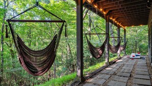 A hammock setup in a forested area with a stone pathway and a covered structure.