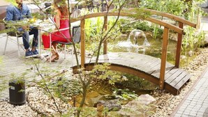 A wooden bridge over a small pond with pebbles and plants around it. - Six Inn Hotel (Budapest)