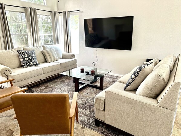 Smart TV, fireplace, books