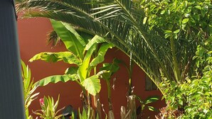 Une terrasse en bois avec une chaise en métal, entourée de plantes en pot et d’un mur rouge.