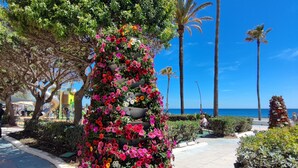 A pathway with a large flower planter, palm trees, and a clear blue sky. - 2-Bedroom Apartment with Direct Beach Access & Private Parking – Estepona (Estepona)