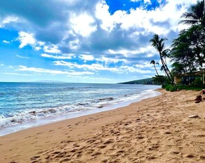 Accommodatie ligt op het strand