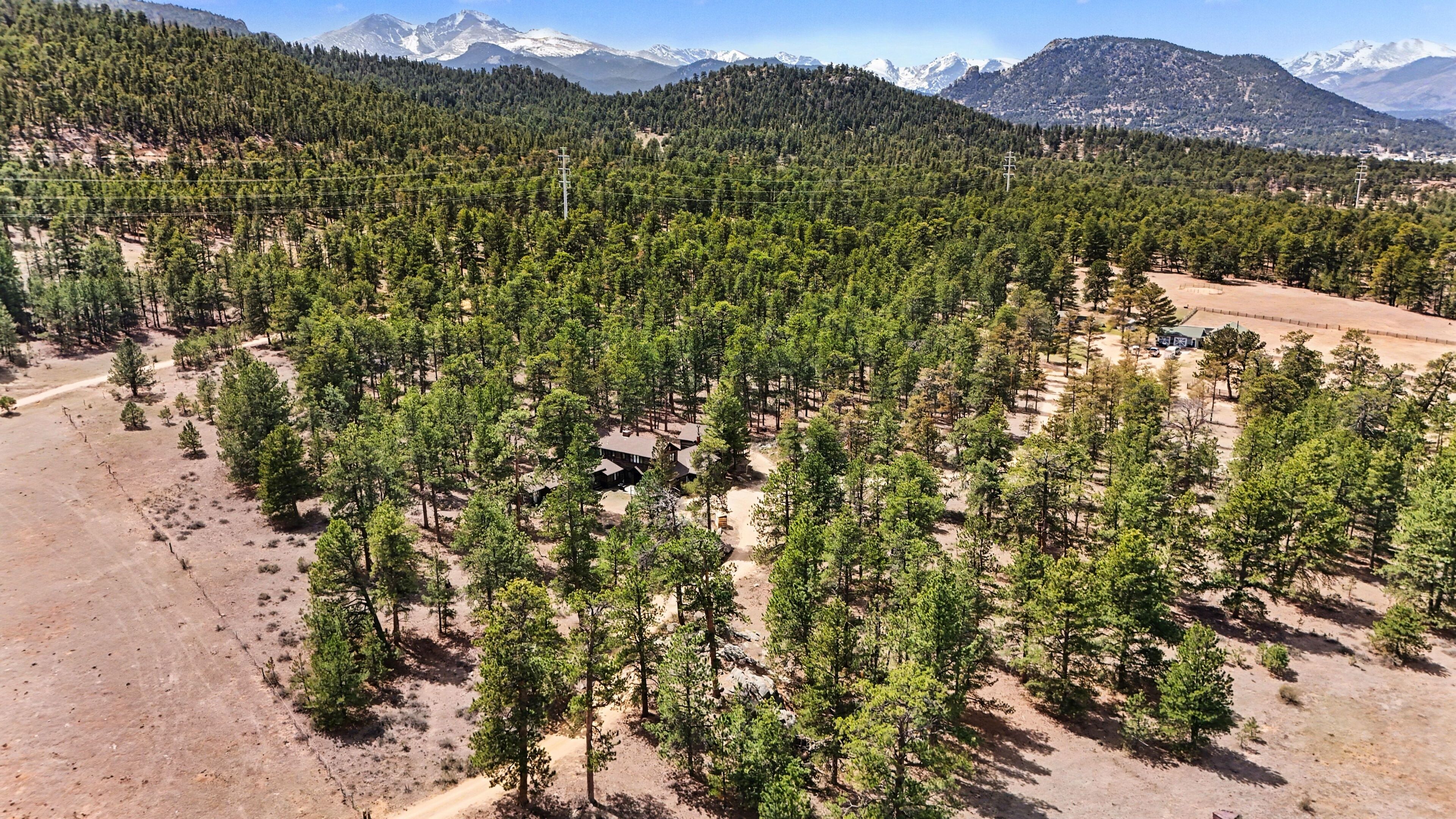 A forested area with a clear sky and distant mountains.