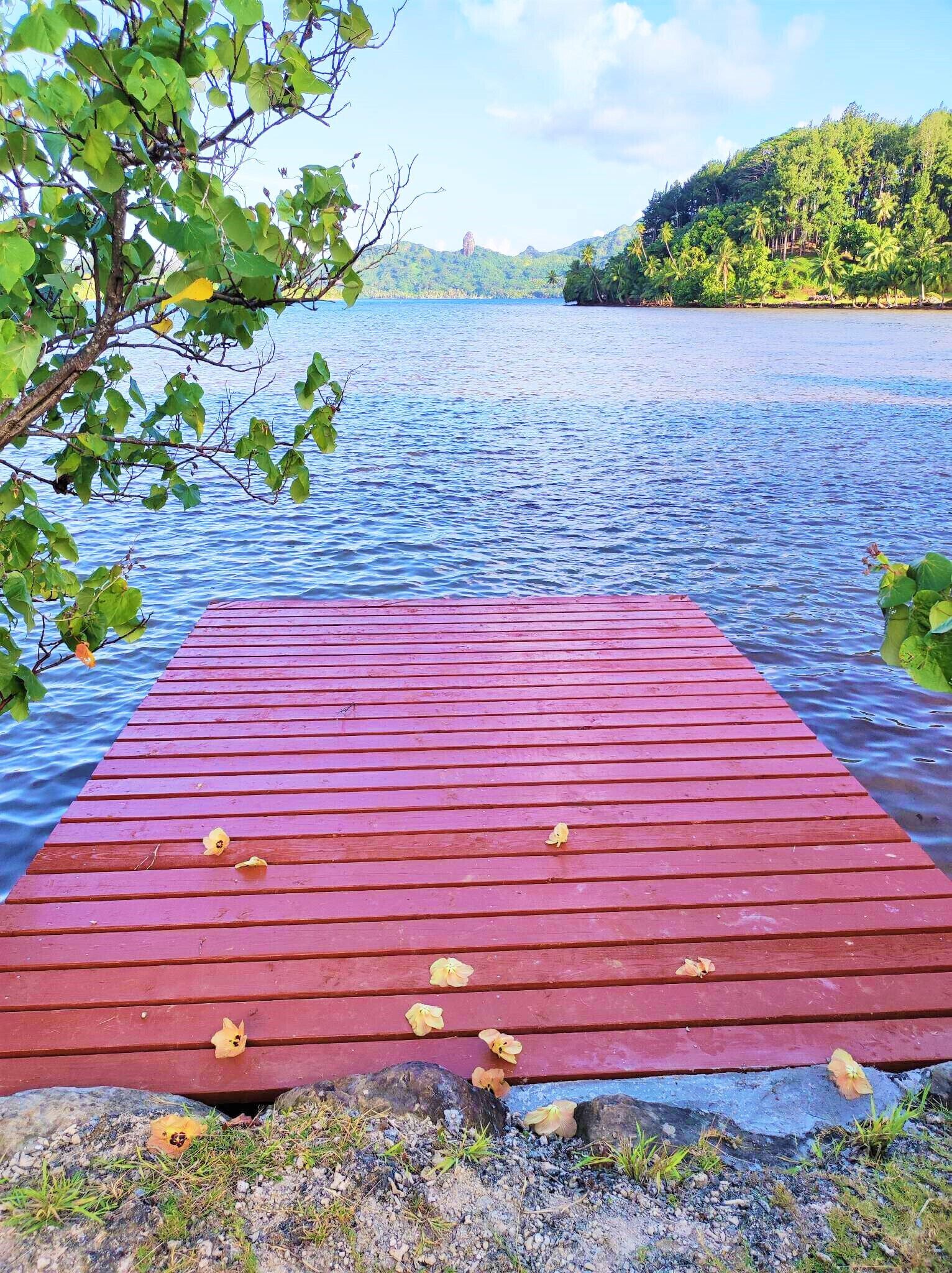 A wooden dock extending into a calm lake, surrounded by lush greenery and hills in the background.