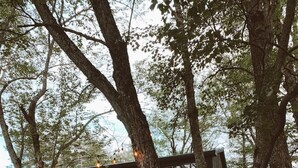 A modern two-story cabin with a wooden deck and a small outdoor seating area. - Maine lake front ski getaway! (Greenwood)
