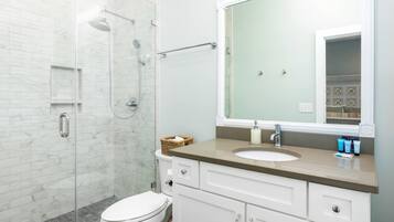Bathtub, hair dryer, towels, toilet paper