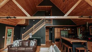 Smart-tv, pejs, videospil, Netflix