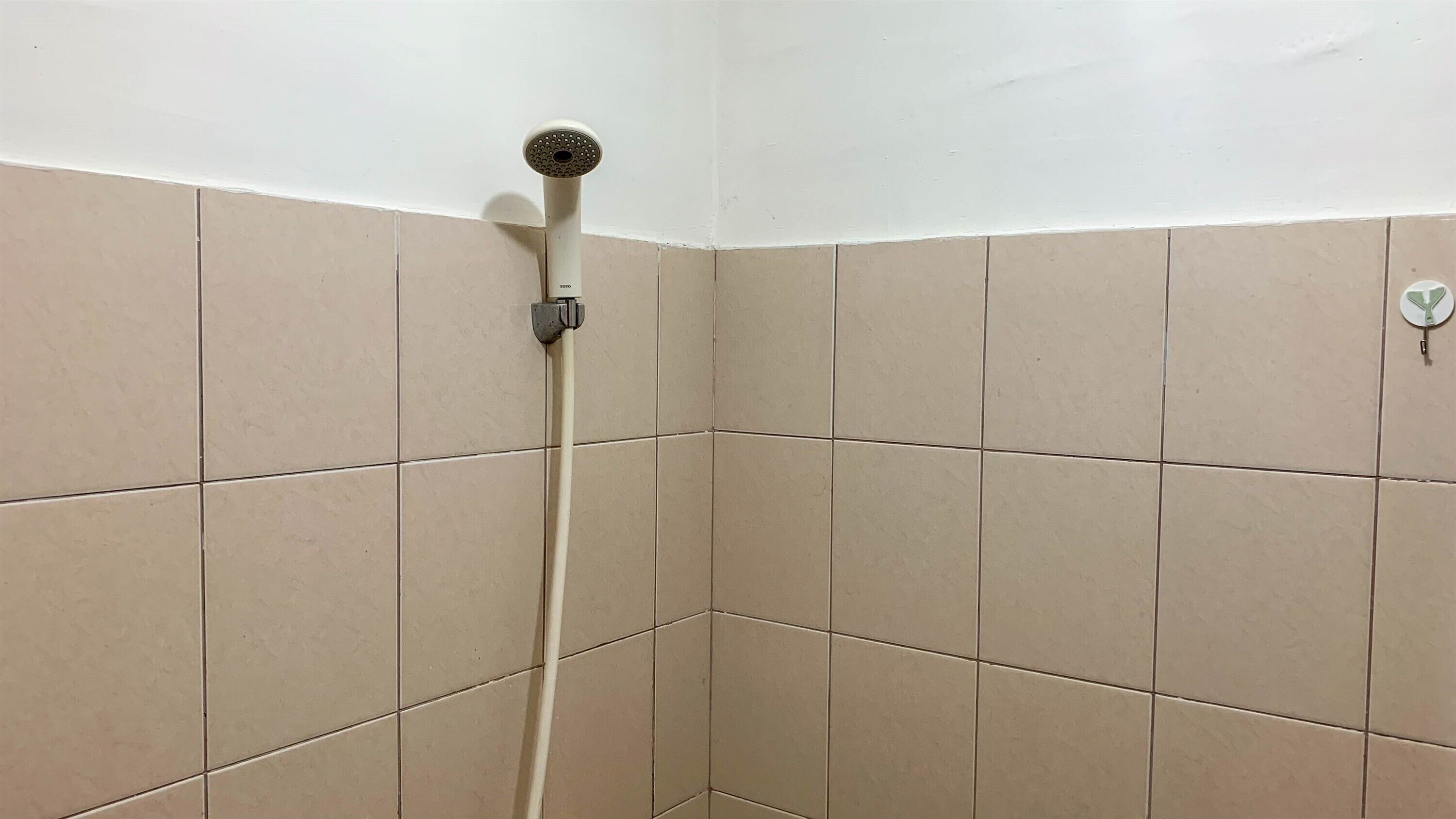 Ducha, toallas