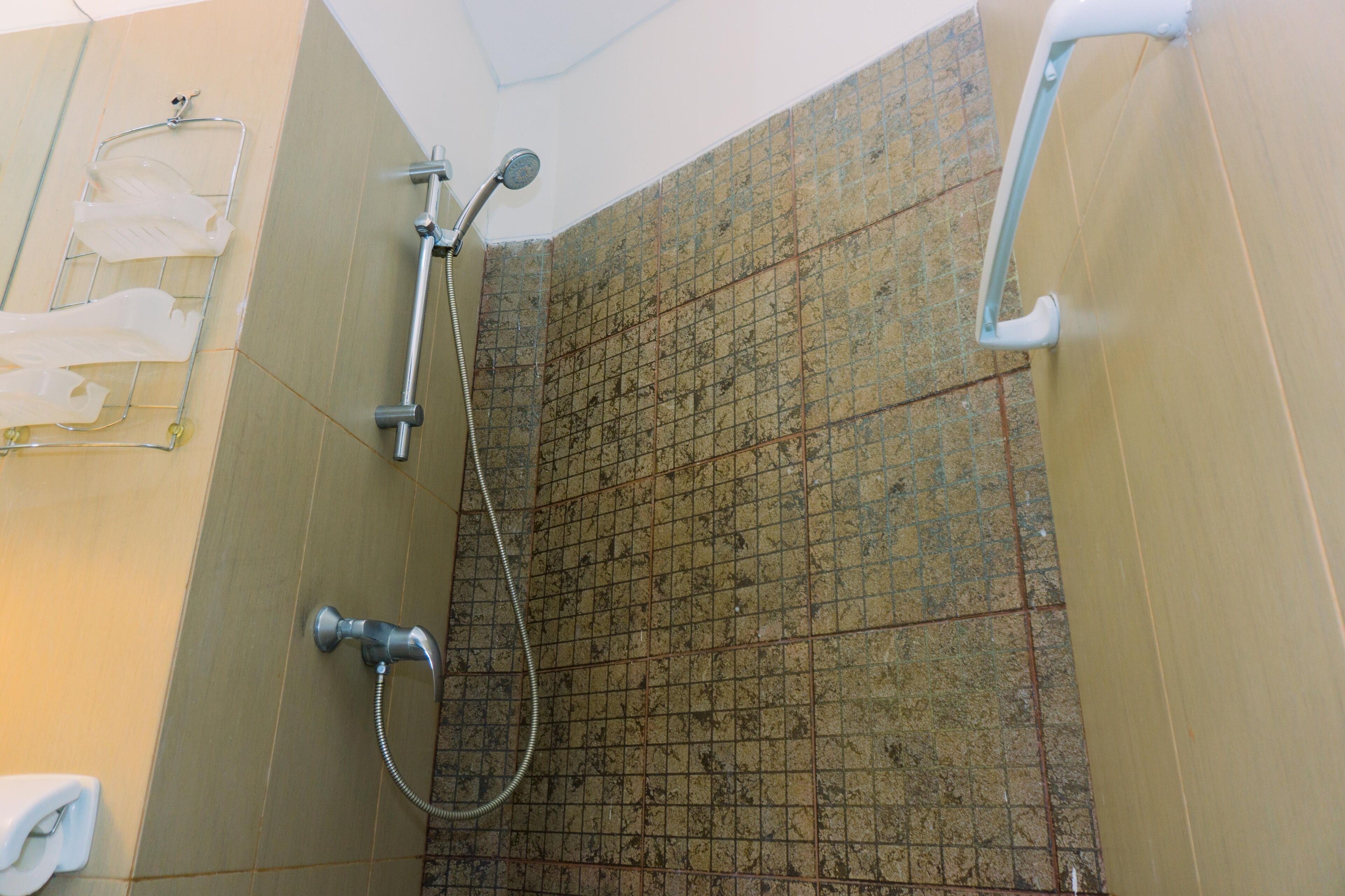 A shower area with a handheld showerhead, a wall-mounted towel rack, and a tiled floor.