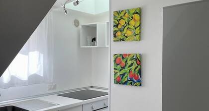 Virgilio 82 - Penthouse With Terrace