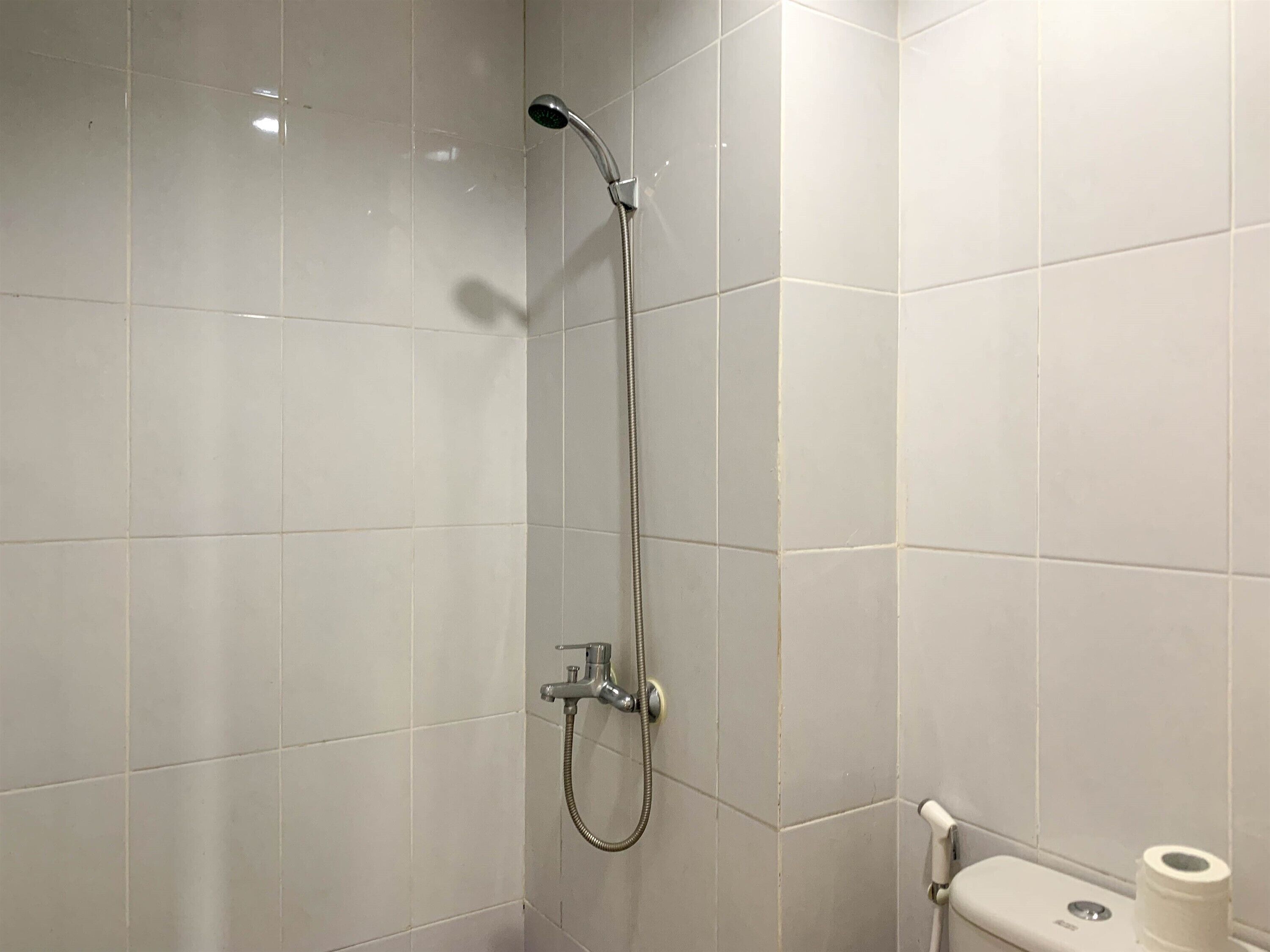 Une douche équipée d’un pommeau de douche et d’un flexible, des toilettes avec un distributeur d’essuie-tout et un rouleau de papier toilette.