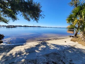 A beach with clear water, a sandy shore, and a palm tree.