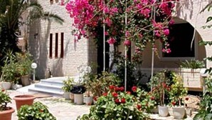 A stone building with a balcony, surrounded by potted plants and flowers. - Kato Stalos Beach (Chania)