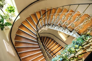A spiral staircase with wooden steps and ornate metal railings, surrounded by potted plants. - Vayalen Boutiquehotel  (Vienna)