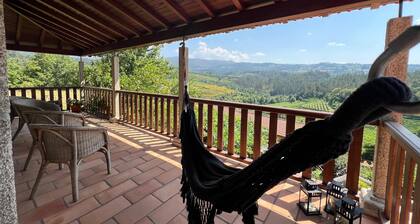 Vineyards Cerco dos Cerrados - Cabeceiras de Basto, Cavez