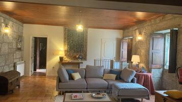 Smart TV, fireplace, DVD player, books