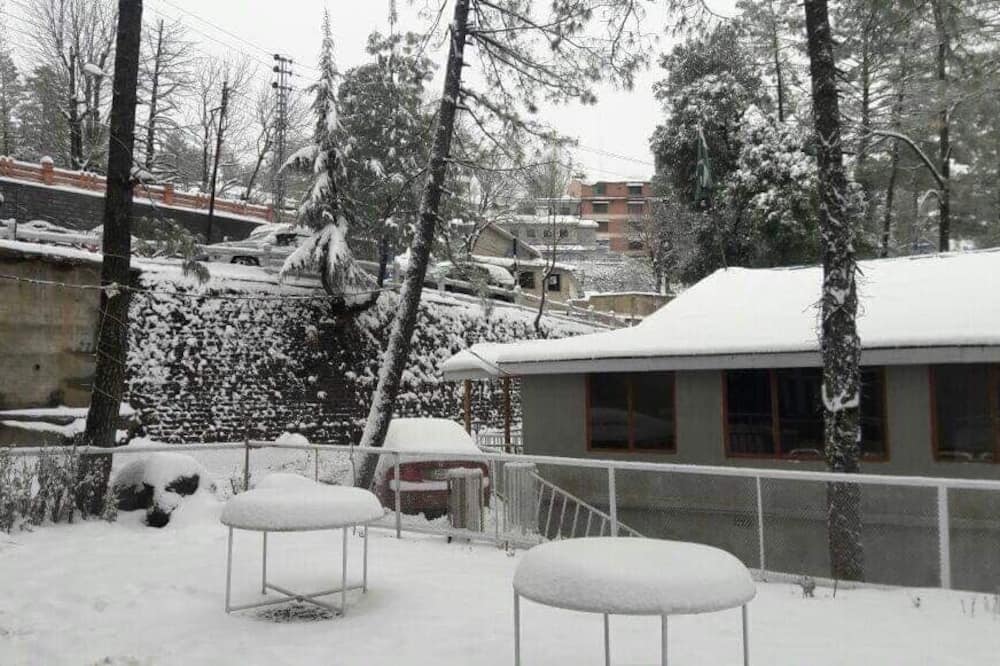 New Kotwal Hotel & Restaurant