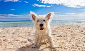 On the beach