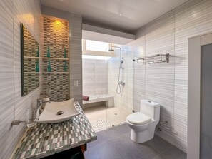 Shower, hair dryer, towels