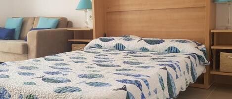 1 chambre, fer et planche à repasser