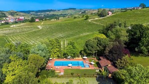 A vineyard with rows of grapevines, a swimming pool, and a tennis court.