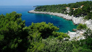 A coastal area with rocky terrain, dense green vegetation, and a clear blue sea. - Apartments Villa Marijana - One Bedroom Apartment With Terrace and Garden View (Blato)
