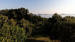A coastal landscape with dense greenery and a view of the sea. - Apartments Belenum - Comfort Double Room With Balcony and Sea View (Zupa dubrovacka)
