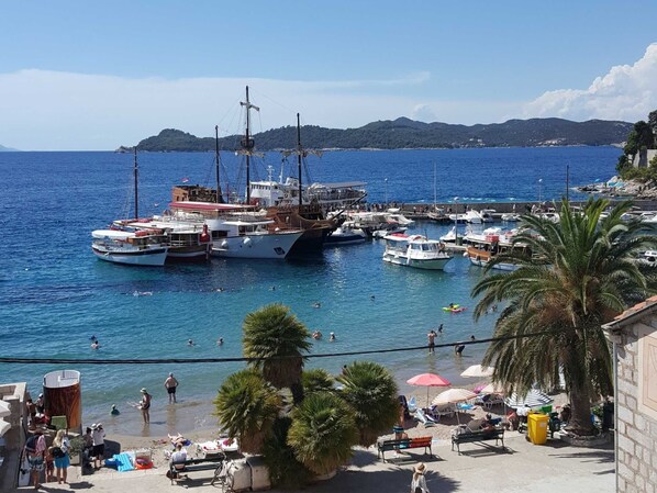 Vista desde la propiedad