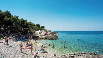 Apartment | View from property