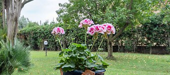 Beautiful Holiday Home in Ardea With Garden