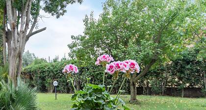 Beautiful Holiday Home in Ardea With Garden