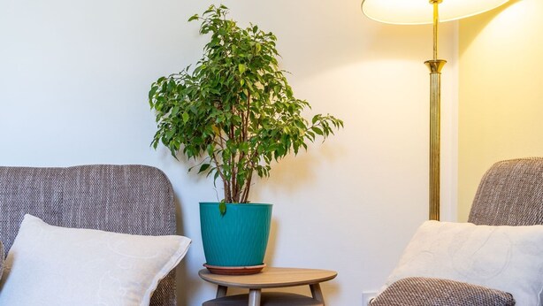 A cozy living room with a round wooden coffee table, a teal potted plant, and a floor lamp. - Apartments Lion - Sea House 1 (Dubrovnik)
