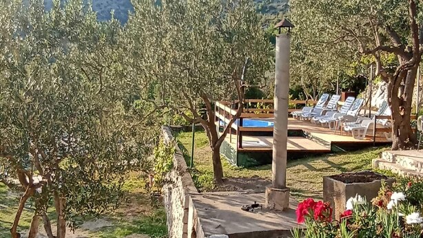 A garden with olive trees, a pool, and lounge chairs. - Apartments Baldo - Two Bedroom Apartment With Sea View (Dubrovacko Primorje)