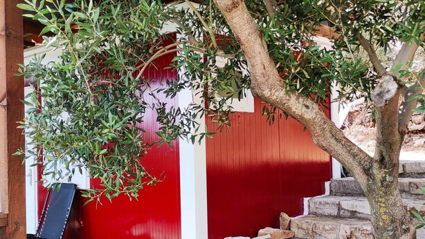 Une porte rouge avec un cadre blanc, un escalier en pierre et un arbre devant.