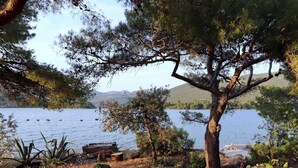 A lakeside view with a tree, potted plants, and a dock. - Apartments More & Ja - Superior One Bedroom Apartment With Terrace and Sea View (Ston)