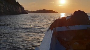 Apartment | Miscellaneous - Apartments Cumbelic - One Bedroom Apartment With Balcony and Sea View A1 (Mljet)