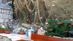 Un muro de piedra, un banco de madera, plantas en macetas y una cerca verde con un sistema de mallas.