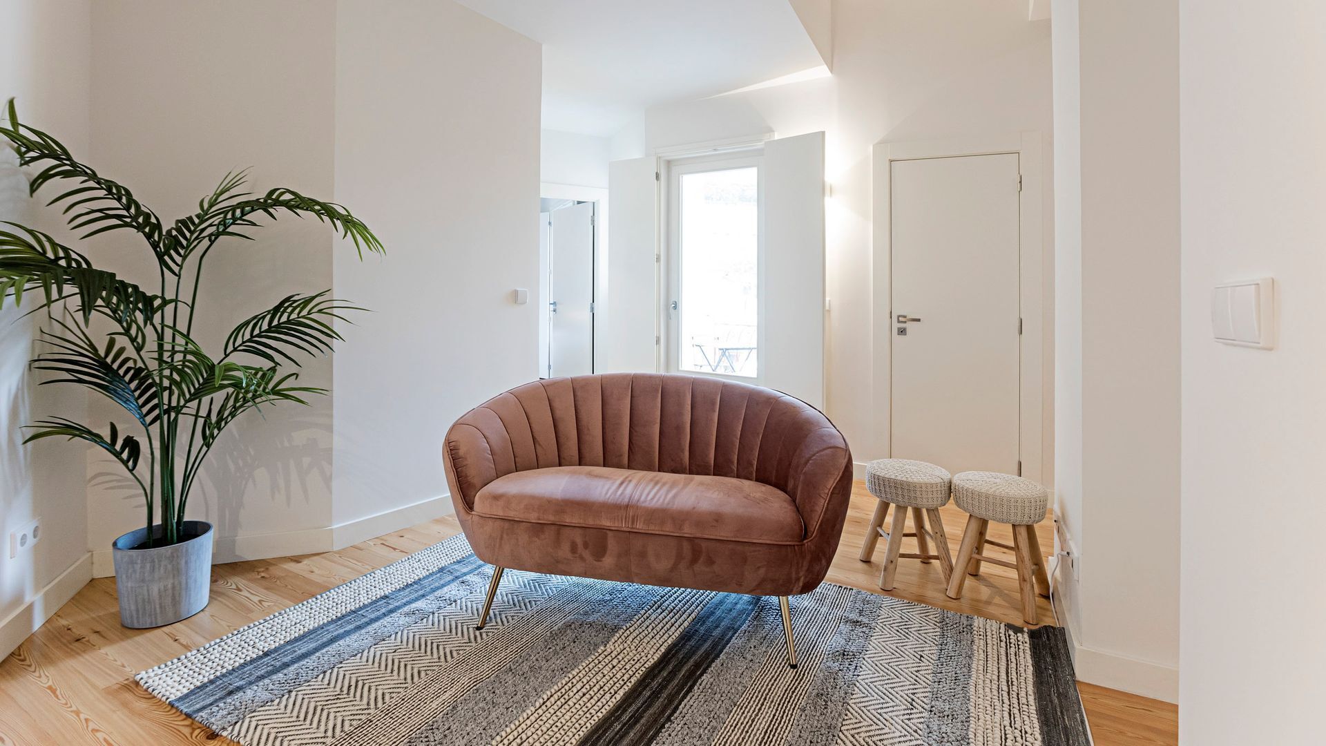 A modern living room with a leather sofa, a large potted plant, and a patterned rug.