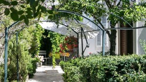Un sendero de jardín que lleva a un edificio con vestíbulo cubierto, rodeado de follaje y plantas en macetas.