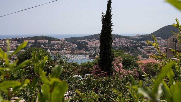 A coastal cityscape with a prominent tall cypress tree in the foreground, a marina with boats, and a hilly backdrop. - Apartment Semi - One Bedroom Apartment With Terrace and Sea View (Dubrovnik)