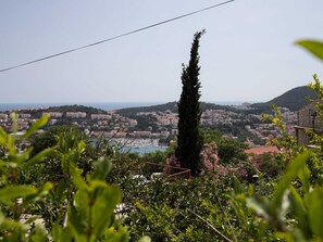 Vista desde la propiedad