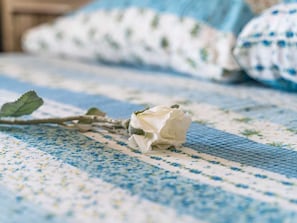 Een enkele witte roos op een blauw-wit geruit kleed.