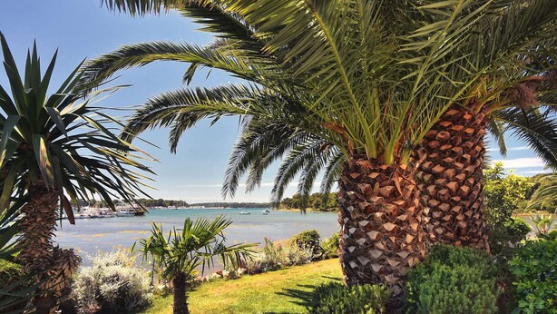 Un jardín tropical con palmeras y vistas a un lago tranquilo con barcos.