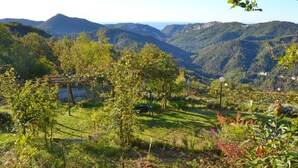 A lush valley with a vineyard, rolling hills, and a distant bridge. - Apartment in Liguria Near Toirano Caves (Vezzi Portio)