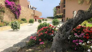 A pathway lined with potted plants and flowers leading to a building with a stone facade and balconies. - Apartment Near Golfo di Cugnana (Olbia)