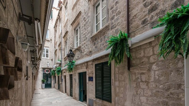 A narrow stone-paved alley with buildings on either side, some with shutters and hanging plants.