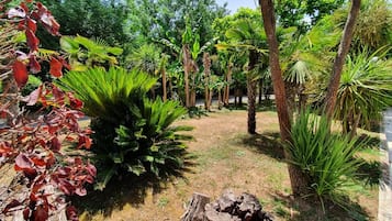 Apartment | Außenbereich