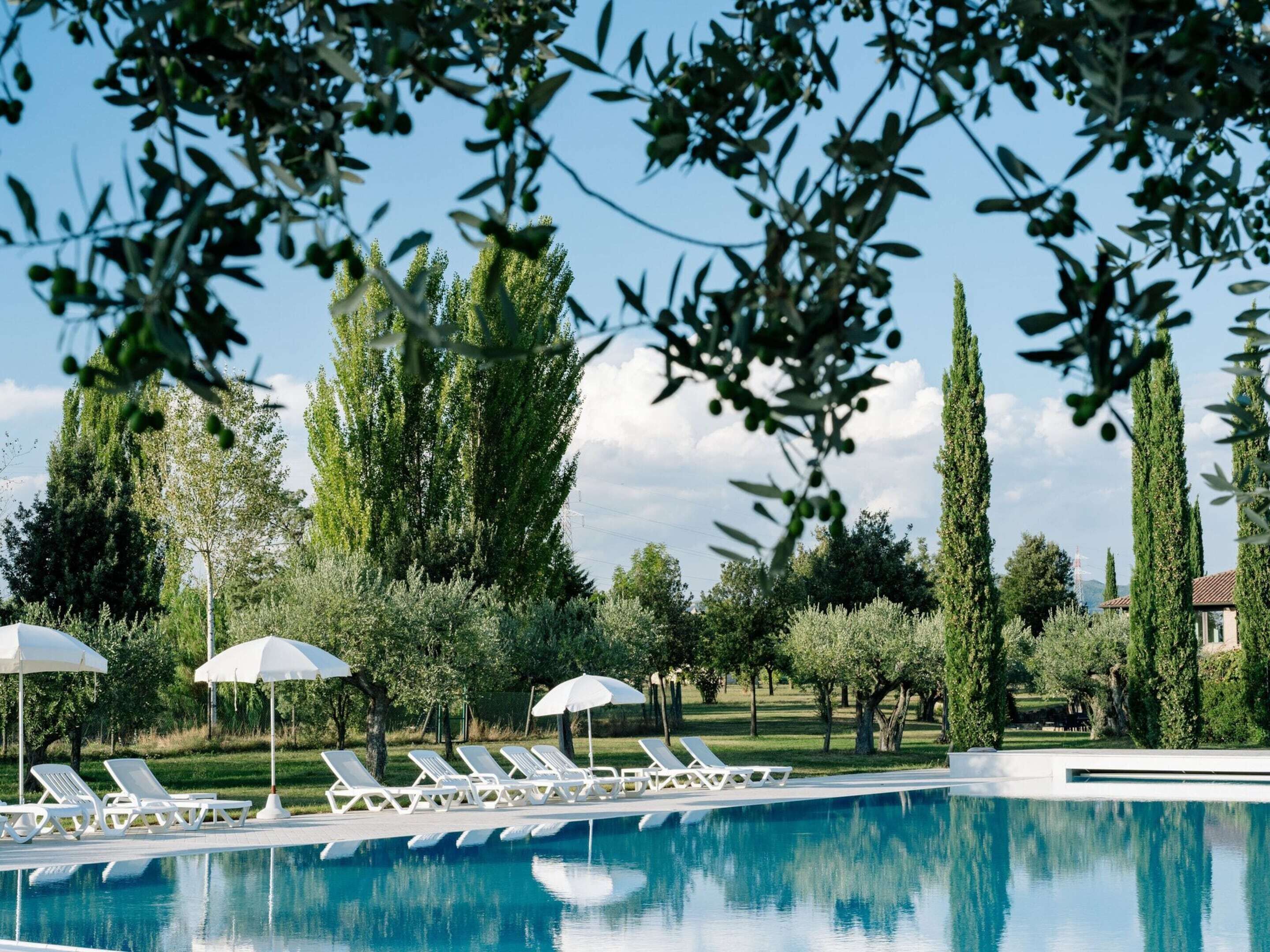 Ein Poolbereich mit Liegestühlen und Sonnenschirmen, umgeben von Bäumen und blauem Himmel.