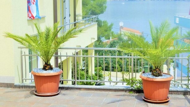 A balcony with two terracotta pots containing palm plants, overlooking a body of water and a distant town. - Apartments Villa Moonlight - One Bedroom Apartment With Sea View Balcony and Terrace (Okrug)
