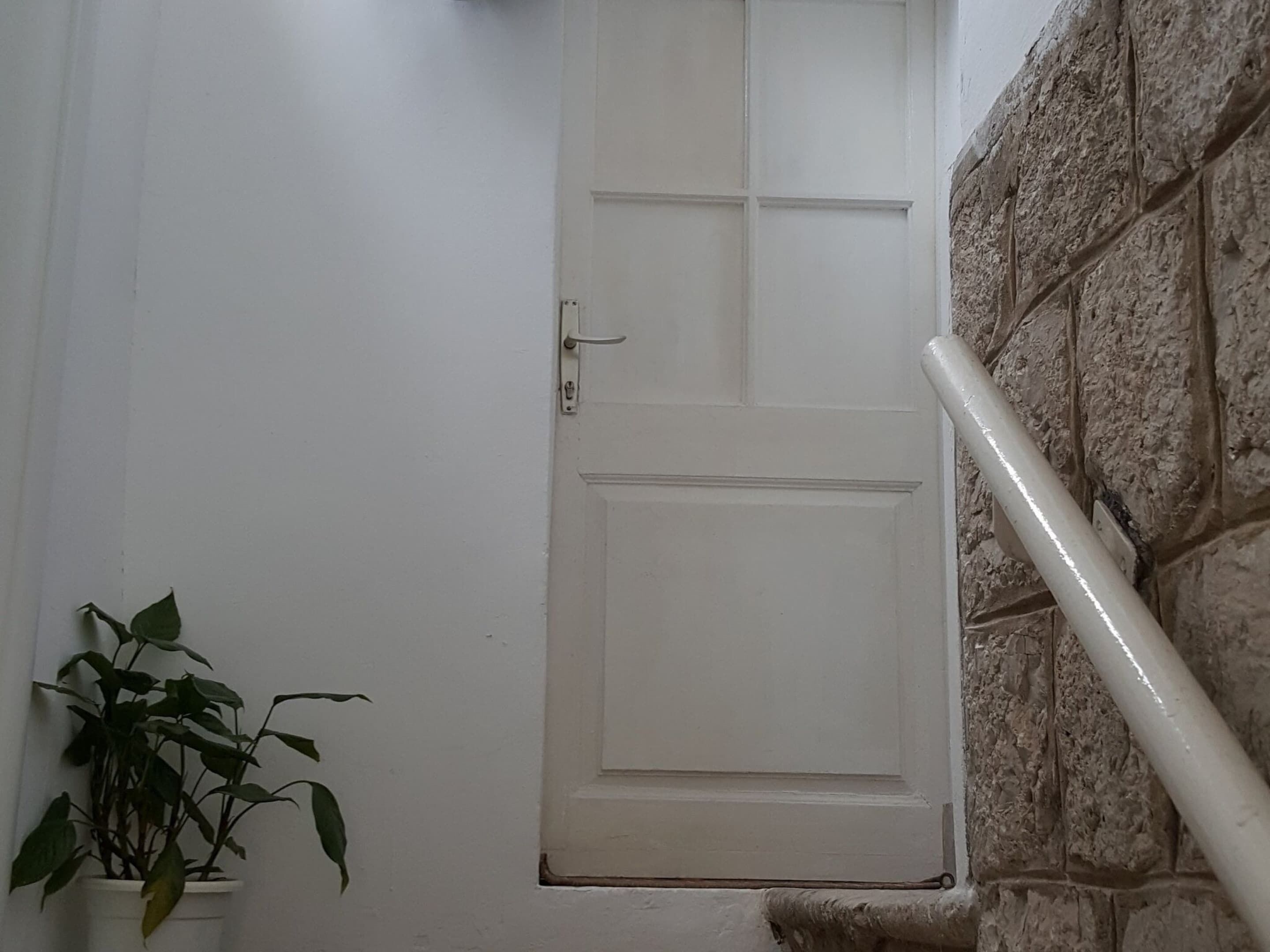 A white door with a simple handle, a potted plant to the left, and a stone wall with a white handrail to the right.